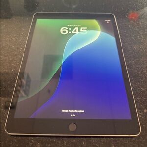 Apple Gray iPad 9th generation, WiFi only, 256 GB